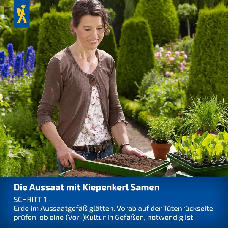 Kiepenkerl Fleisch-Tomaten Samen 1038200 - Gartentomate - Fruchtgewicht 200-250g - Inhalt für 25 Pflanzen - Gemüsesamen, Samen Gemüse, Saatgut, Gemüse Pflanzen – Bild 5
