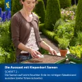 Kiepenkerl Fleisch-Tomaten Samen 1038200 - Gartentomate - Fruchtgewicht 200-250g - Inhalt für 25 Pflanzen - Gemüsesamen, Samen Gemüse, Saatgut, Gemüse Pflanzen - Thumbnail 6