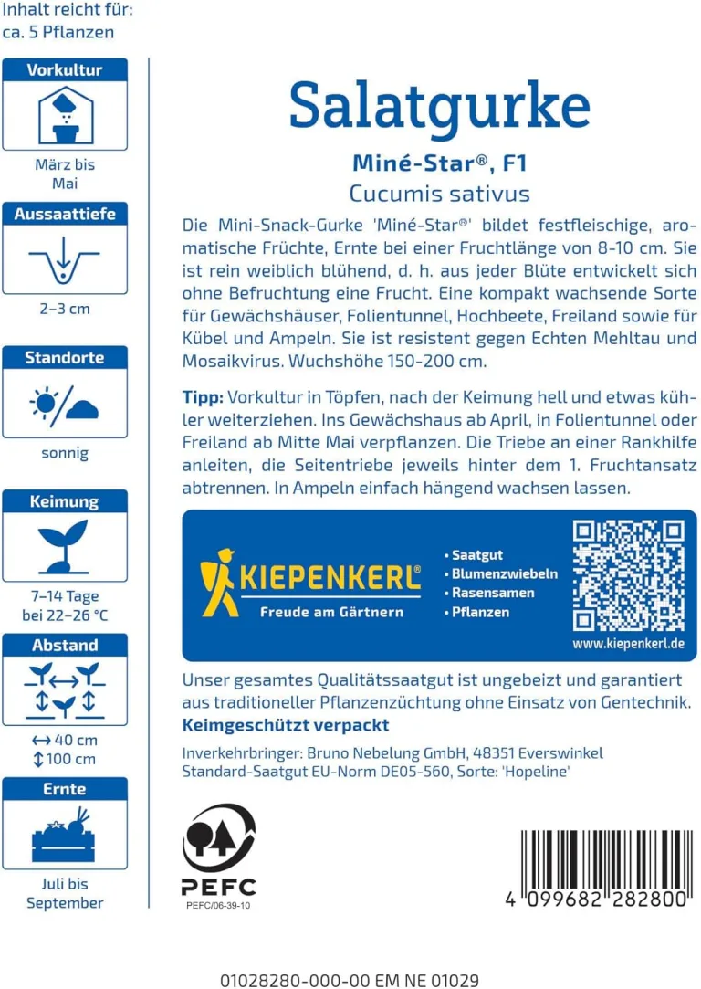 Kiepenkerl Profi-Line Salatgurkensamen Miné-Star 1028280 - Aromatische Mini-Snack-Gurken mit Mehltauresistenz, rein weiblich blühende Gemüsesamen – Bild 4