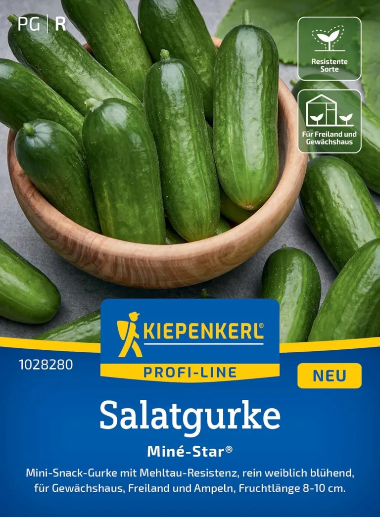 Kiepenkerl Profi-Line Salatgurkensamen Miné-Star 1028280 - Aromatische Mini-Snack-Gurken mit Mehltauresistenz, rein weiblich blühende Gemüsesamen – Bild 1