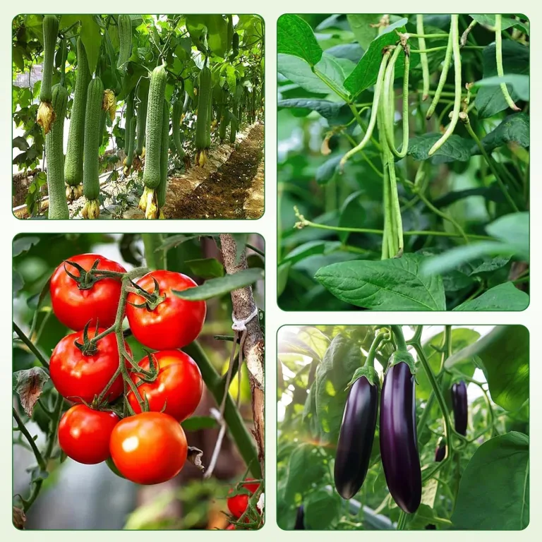 6 Stück Tomaten Rankhilfe 120 cm Höhe Tomate Rankhilfe im Set mit Twist Tie und clips Rankhilfe für Rosen Tomate Kletterpflanzen metall Pflanzenhalter für Tomate, Gurken, Rosen, Garten (Grün) – Bild 8