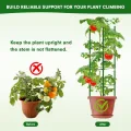 6 Stück Tomaten Rankhilfe 120 cm Höhe Tomate Rankhilfe im Set mit Twist Tie und clips Rankhilfe für Rosen Tomate Kletterpflanzen metall Pflanzenhalter für Tomate, Gurken, Rosen, Garten (Grün) - Thumbnail 3