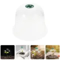 HANABASS 12stücke Garden Cloche Kunststoff Pflanzenkuppel Mit Belüftung Mini Gewächshaus Für Frostschutz Und Feuchtigkeitsregulierung Für Anzucht Und Pflanzenschutz - Thumbnail 4