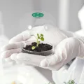 HANABASS 12stücke Garden Cloche Kunststoff Pflanzenkuppel Mit Belüftung Mini Gewächshaus Für Frostschutz Und Feuchtigkeitsregulierung Für Anzucht Und Pflanzenschutz - Thumbnail 5