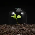 HANABASS 12stücke Garden Cloche Kunststoff Pflanzenkuppel Mit Belüftung Mini Gewächshaus Für Frostschutz Und Feuchtigkeitsregulierung Für Anzucht Und Pflanzenschutz - Thumbnail 6