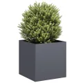 vidaXL Pflanzkübel Anthrazit 40x40x40 cm Kaltgewalzter Stahl, Pflanzschale, Garten-Garten-Pflanzkübel, Outdoor-Pflanzgefäß, Hochbeet, Pflanzgefäß - Thumbnail 4