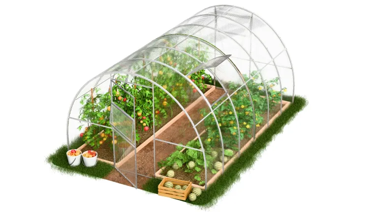 Gewächshaus Tunnel, Greenhouse für Garten, Kweekas, Tuinkas Tunnel 3 m, Greenhouse für Gemüsepflanzen, Stahlrahmen mit Polycarbonat, 1000 x 300 x 200 cm, 30 m² – Bild 1