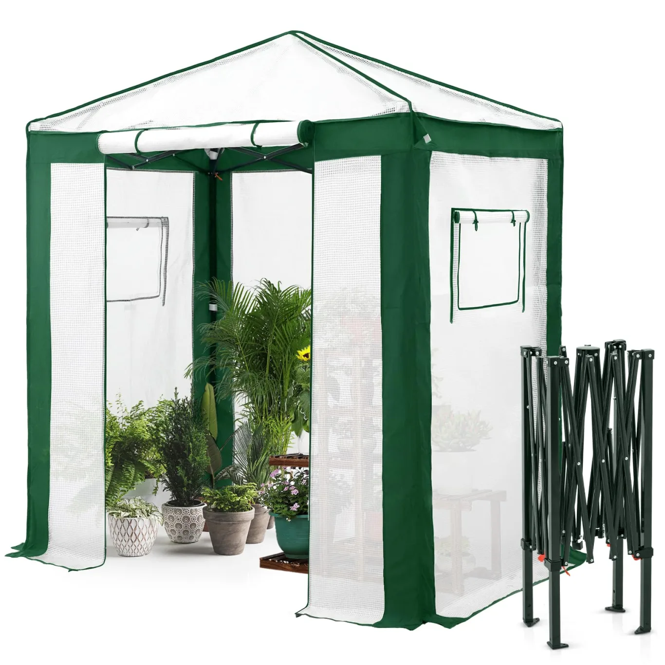 Eagle Peak Tragbares begehbares Gewächshaus mit Polyester-verstärkten Ecken, sofortiges Aufklappen, für drinnen und draußen, Gartenarbeit, Grünhaus, aufrollbare Eingangstür mit Reißverschluss und - Bild 1