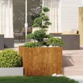 vidaXL Pflanzkübel Rostig 100x100x80 cm Wetterfester Stahl, Pflanztopf, Pflanzenständer, Hochbeet, Pflanzgefäßständer, Pflanzentablett, Gartenpflanzer - Thumbnail 2