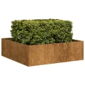 vidaXL Pflanzkübel Rostig 100x100x30 cm Wetterfester Stahl, Pflanztopf, Pflanzenständer, Hochbeet, Pflanzgefäßständer, Pflanzentablett, Gartenpflanzer - Thumbnail 4