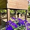 gartenetage Hochbeet XL mit Ablage und Pflanzfolie - Wetterfest, Ergonomisch, Inklusive Schutzlasur, Robustes Kiefernholz, Braun - Thumbnail 3