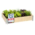 Garronda Holzaufsatzrahmen mit Print - Hochbeete für Pflanzen Blumen Kräuter Obst und Gemüse Aufbewahrungskiste aus Holz mit dekorativem Druck GD-0075 (120x80x20 cm, Tomate, 3St) - Thumbnail 8