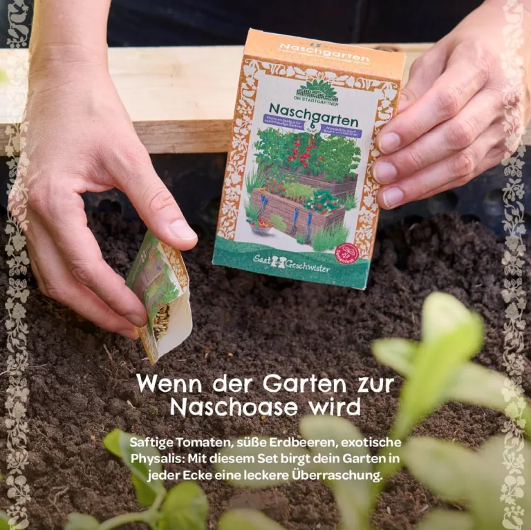 Saatgut-Set Naschgarten mit 6 samenfesten BIO-Sorten | Frisches Naschvergnügen mit Obst & Gemüse zum Selberziehen z.B. Zuckererbse, Erdbeere| Geschenk für Hobbygärtner zum Geburtstag, Ostern etc. – Bild 4