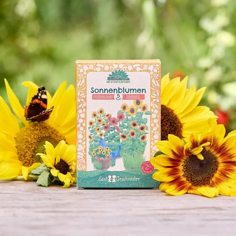 Saatgut-Set mit 5 samenfesten Sonnenblumen-Sorten | Hochwertiges Saatgut | Geschenkidee für Gartenfreunde und Sonnenblumen-Liebhaber zum Geburtstag, Ostern etc. | IFür Garten, Balkon und Terrasse – Bild 3