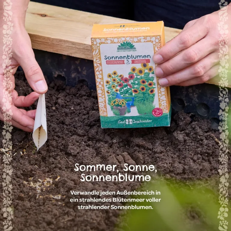 Saatgut-Set mit 5 samenfesten Sonnenblumen-Sorten | Hochwertiges Saatgut | Geschenkidee für Gartenfreunde und Sonnenblumen-Liebhaber zum Geburtstag, Ostern etc. | IFür Garten, Balkon und Terrasse – Bild 4