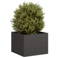 vidaXL Pflanzkübel Schwarz 40x40x30 cm Stahl, Pflanzschale, Garten-Garten-Pflanzkübel, Outdoor-Pflanzgefäß, Hochbeet, Pflanzgefäß, Blumenkasten - Thumbnail 4
