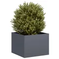 vidaXL Pflanzgefäß Anthrazit 40x40x30 cm Stahl, Pflanzschale, Garten-Garten-Pflanzkübel, Outdoor-Pflanzgefäß, Hochbeet, Pflanzgefäß, Blumenkasten - Thumbnail 4