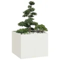 vidaXL Pflanzgefäß Weiß 100x100x80 cm Stahl, Pflanzschale, Garten-Garten-Pflanzkübel, Outdoor-Pflanzgefäß, Hochbeet, Pflanzgefäß, Blumenkasten - Thumbnail 4
