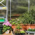 15x Polycarbonat Hohlkammerstegplatten 8mm Doppelstegplatte für Gewächshaus (60.5 x 121cm) | 1.2kg/m² Gewächshausplatte UV-beständigen für Gewächshaus Garten Treibhaus Ersatzplatten - Thumbnail 9