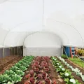Outsunny Gewächshaus 6 x 3 x 2 m Foliengewächshaus mit 8 Fenster & Tür, Aufrollbar Seitenwänden, UV-beständiger Folientunnel Tomatenhaus mit verzinkten Stahlrahmen, Weiß - Thumbnail 9
