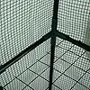 Kinzo Gewächshaus 143 x 73 x 195 cm - Mini Gewächshaus mit 6 Ebenen - Foliengewächshaus Klein - Gewächshaus Zubehör für Kinder und Garten - Kompakter Wintergarten - Transparent und Grün - Thumbnail 2