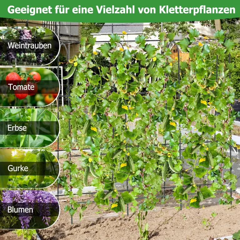 COSTWAY Gurke Rankgitter 180cm hoch, einstellbare Breite, Rankhilfe mit Ranknetz, Garten Gurkengitter Metall, Pflanzenspalier für Kletterpflanzen, Gitterspalier für Gurken Tomaten Efeu, inkl. Zubehör – Bild 3