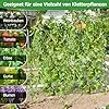 COSTWAY Gurke Rankgitter 180cm hoch, einstellbare Breite, Rankhilfe mit Ranknetz, Garten Gurkengitter Metall, Pflanzenspalier für Kletterpflanzen, Gitterspalier für Gurken Tomaten Efeu, inkl. Zubehör - Thumbnail 2