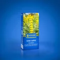 Kiepenkerl Hochbeet Vital 1080700 - Saatgut für den perfekten Gründünger. Ein Fruchtfolgeneutraler Mix ideal als Zwischenfrucht, für die folgenden Kulturen. -Samen - Thumbnail 10