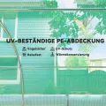 Outsunny Gewächshaus 6 x 3 x 2 m Foliengewächshaus mit 12 Fenster, Rolltüren, Aufrollbar Seitenwänden, UV-beständiger Folientunnel, Winterfest Tomatenhaus mit Erdanker, Grün - Thumbnail 5