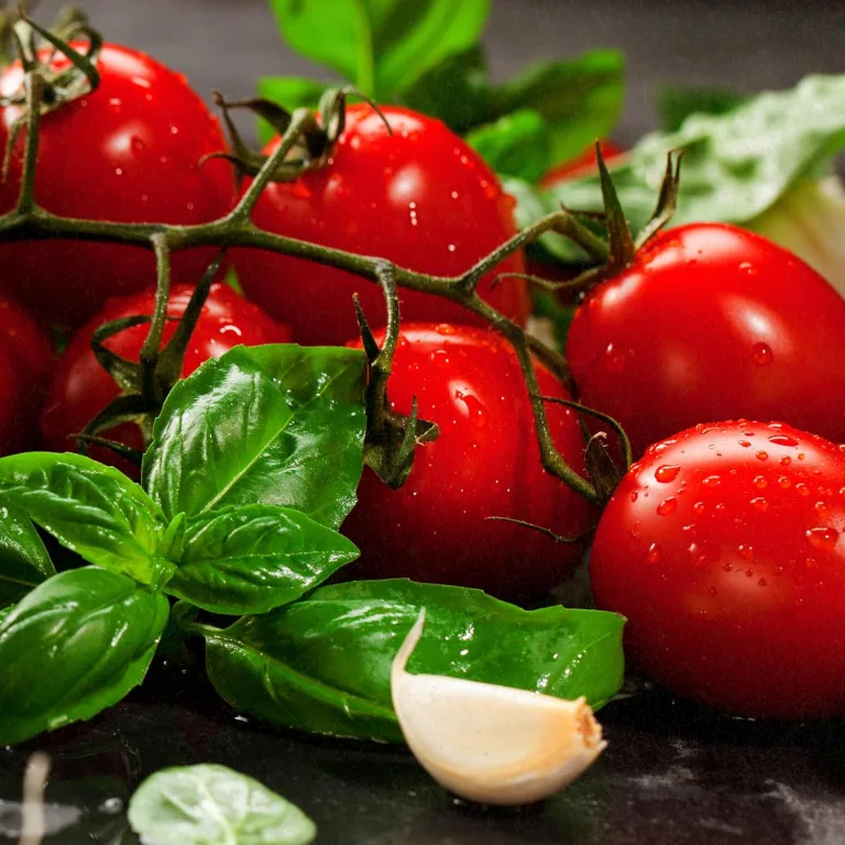 BIO Tomaten Samen 10 Tomatensamen Zuckertraube Kirschtomate Gemüsesamen für Gemüsegarten Samenfest Gemüse Samen für Küche, Balkon und Garten – Bild 7