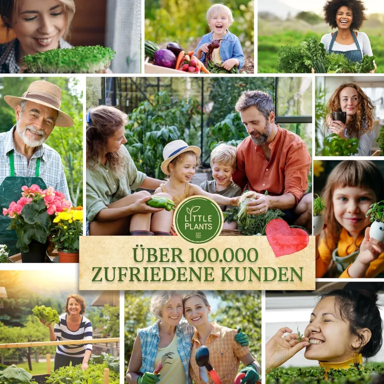 BIO Tomaten Samen 10 Tomatensamen Zuckertraube Kirschtomate Gemüsesamen für Gemüsegarten Samenfest Gemüse Samen für Küche, Balkon und Garten – Bild 8