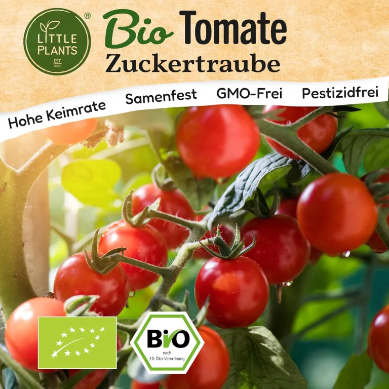BIO Tomaten Samen 10 Tomatensamen Zuckertraube Kirschtomate Gemüsesamen für Gemüsegarten Samenfest Gemüse Samen für Küche, Balkon und Garten – Bild 1