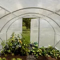 TOOLPORT Foliengewächshaus Gewächshaus 2x3m Premium mit schwenkbarer Türkonstruktion PE-Plane 180 g/m² weiß transparent - Thumbnail 5