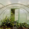 TOOLPORT Foliengewächshaus Gewächshaus 3x4m Premium mit schwenkbarer Türkonstruktion PE-Plane 180 g/m² grün transparent - Thumbnail 5
