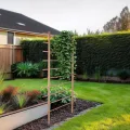 UNUS Rankhilfe aus Holz, 170 cm hoch, Natur, Wetterfeste Pflanzenstütze für Garten & Gewächshaus, einfache Montage - Thumbnail 3