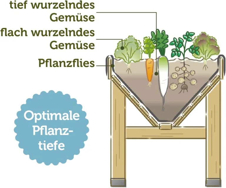 VegTrug Classic V2 1,8m Hochbeet, Natur, Pflanztiefe für flach und tief wurzelndes Gemüse, 100% FSC zertifiziertes Holz, 183 x 76 x 80 cm – Bild 6