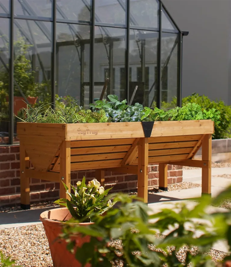 VegTrug Classic V2 1,8m Hochbeet, Natur, Pflanztiefe für flach und tief wurzelndes Gemüse, 100% FSC zertifiziertes Holz, 183 x 76 x 80 cm – Bild 7