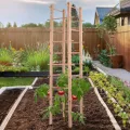 UNUS Rankenturm aus Holz, 150 cm hoch, Natur, Wetterfeste Pflanzenstütze für Kletterpflanzen, Garten & Gewächshaus, einfache Montage - Thumbnail 2