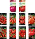 Nojus - Tomaten Samen Set – 20 Sorten – Verschiedene Tomatensamen Starter Kit - 20 Packen – Garten Samen Pflanzen Saatgut – Samen Gemüse Box 20 Sorten – Saatgut Box – Saat/Seeds - Thumbnail 1