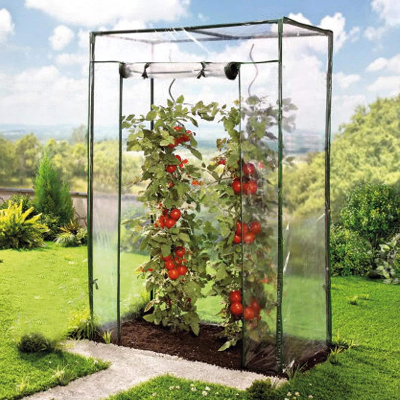 Tomaten-Gewächshaus mit PE-Abdeckung, 100 x 50 x 150 cm - Bild 1