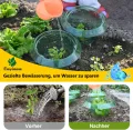 20 Stücke Schneckenschutzring, Der Neueste Schneckenkragen, Bietet Effektiven Schutz vor Schnecken für Ihre Salatpflanzen und Tomaten.（Enthält Keine Pflanzenhut） - Thumbnail 9
