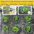 20 Stücke Schneckenschutzring, Der Neueste Schneckenkragen, Bietet Effektiven Schutz vor Schnecken für Ihre Salatpflanzen und Tomaten.（Enthält Keine Pflanzenhut） - Thumbnail 10