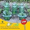 20 Stücke Schneckenschutzring, Der Neueste Schneckenkragen, Bietet Effektiven Schutz vor Schnecken für Ihre Salatpflanzen und Tomaten.（Enthält Keine Pflanzenhut） - Thumbnail 2