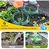 20 Stücke Schneckenschutzring, Der Neueste Schneckenkragen, Bietet Effektiven Schutz vor Schnecken für Ihre Salatpflanzen und Tomaten.（Enthält Keine Pflanzenhut） - Thumbnail 4