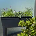 Prosperplast Hochbeet Frühbeet Bloomo mit abnehmbaren Beinen und Deckel | Frühbeet für Garten und Balkon | aus Kunststoff | Anthrazit | wetterfest | 78 x 82 x 37 cm (Hochbeet (Einzelausführung)) - Thumbnail 3