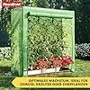 Floordirekt - Gewächshaus UV-beständig - Gewächshaus mit Metallablagegitter - Langlebig. Witterungsbeständiges Pflanzenhaus für Gemüse Kräuter. Blumen (77x200x169cm Botanika) - Thumbnail 2