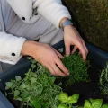 Metzler Hochbeet für den Garten oder Balkon – Stahl in Anthrazit | Witterungsbeständiges Metall-Gartenbeet, Pflanzenbeet, Blumenhochbeet | 50 x 50 x 50 cm - Thumbnail 7