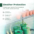 DIVCHI Gewächshaus mit 5 Etagen, Mini-Gewächshaus für den Innen- und Außenbereich, Robustes Gewächshaus, ideal für den Anbau von Gemüse, Blumen, Kräutern und Setzlingen - Thumbnail 4