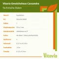 Vitavia Gewächshaus Cassandra 9900", Aluminium eloxiert, 9,9 m², ohne Sockelmauer, 3 mm ESG | Wetterfestes & stabiles Treibhaus | Perfekt für Gemüse & Pflanzen | Robust & langlebig - Thumbnail 5