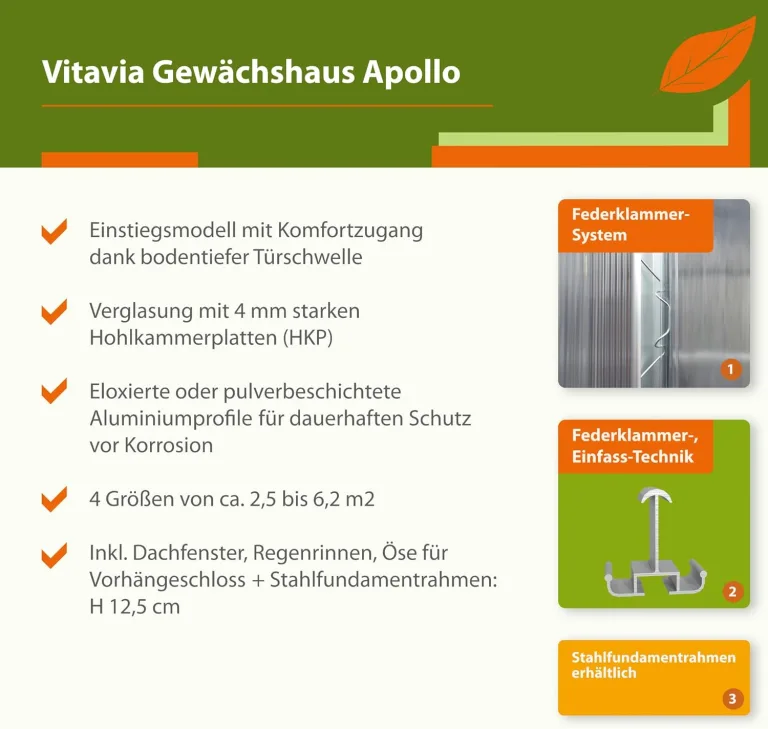 Vitavia Gewächshaus Apollo 6200", Aluminium eloxiert, 6,2 m², 4 mm HKP | Wetterfestes & stabiles Treibhaus | Perfekt für Gemüse & Pflanzen | Robust & langlebig – Bild 4